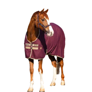 Horseware - Chemise de box Amigo figue/ marine/ beige 0g