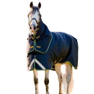 Horseware - Couverture d'extérieur Rambo Duo Force 2.0 marine/ or/ sarcelle 100g + 300g