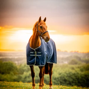 Horseware - Couverture d'extérieur Amigo Ripstop Turnout witney navy 0g