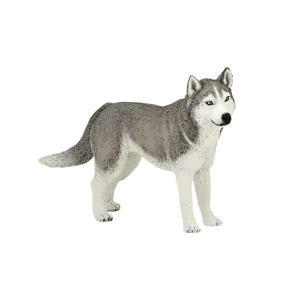Papo - Figurine Husky de Sibérie