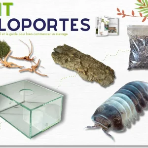 Kit d'élevage de cloportes