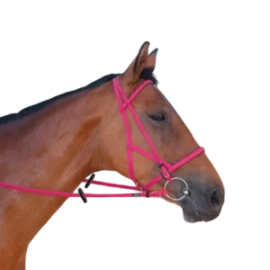 TdeT - Bridon/licol biotack fuchsia