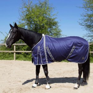 TdeT - Chemise en coton marine/ gris